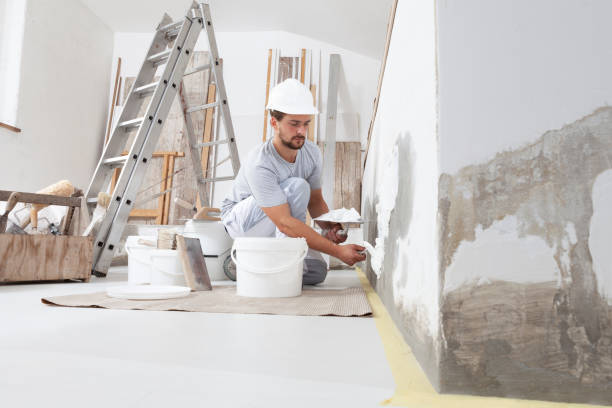 Mold Odor Removal Services in Anadarko, OK